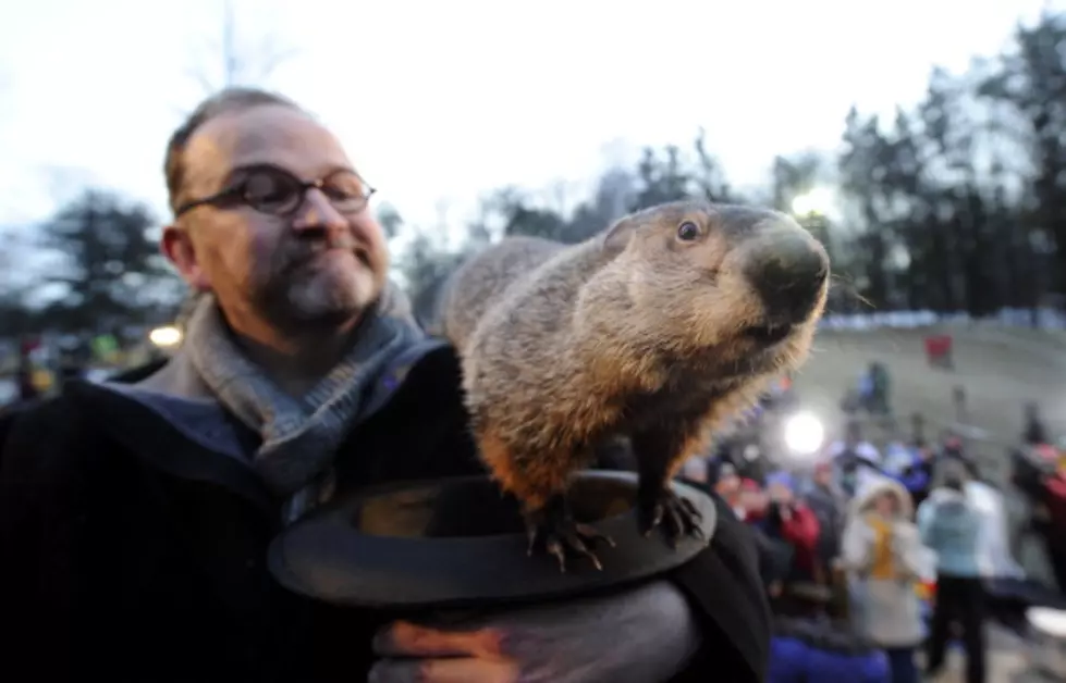 Groundhog in Buffalo Predicts Six More Weeks of Winter