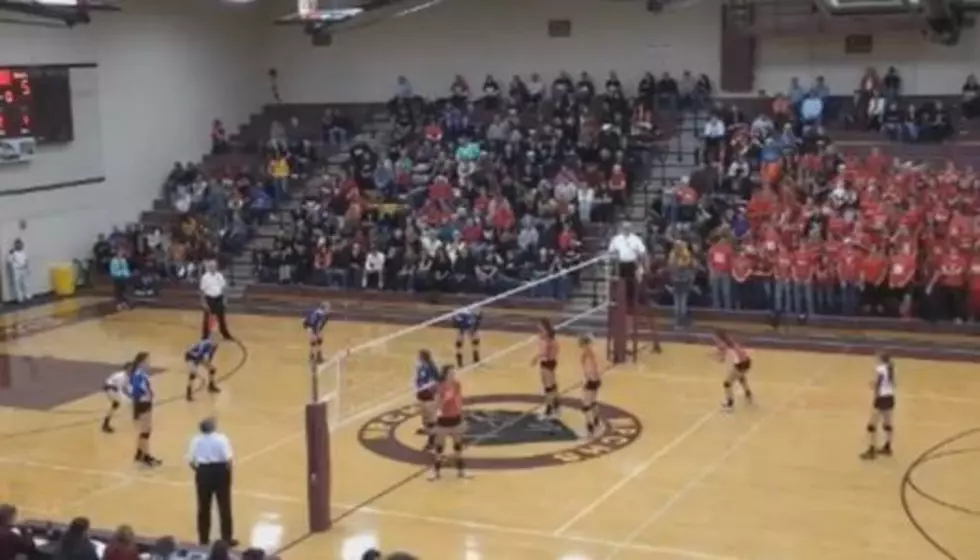 Girl Volleyball Player Takes Out Opponent And a Guy On The Sideline With One Spike! Must See. [Video]