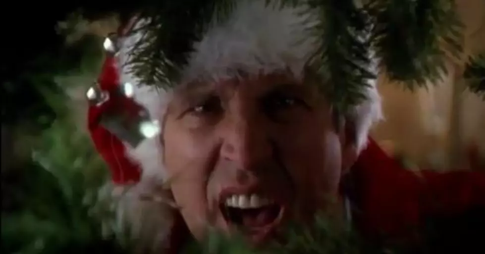 Chevy Chase To Attend 'Christmas Vacation' Screening In Upstate N