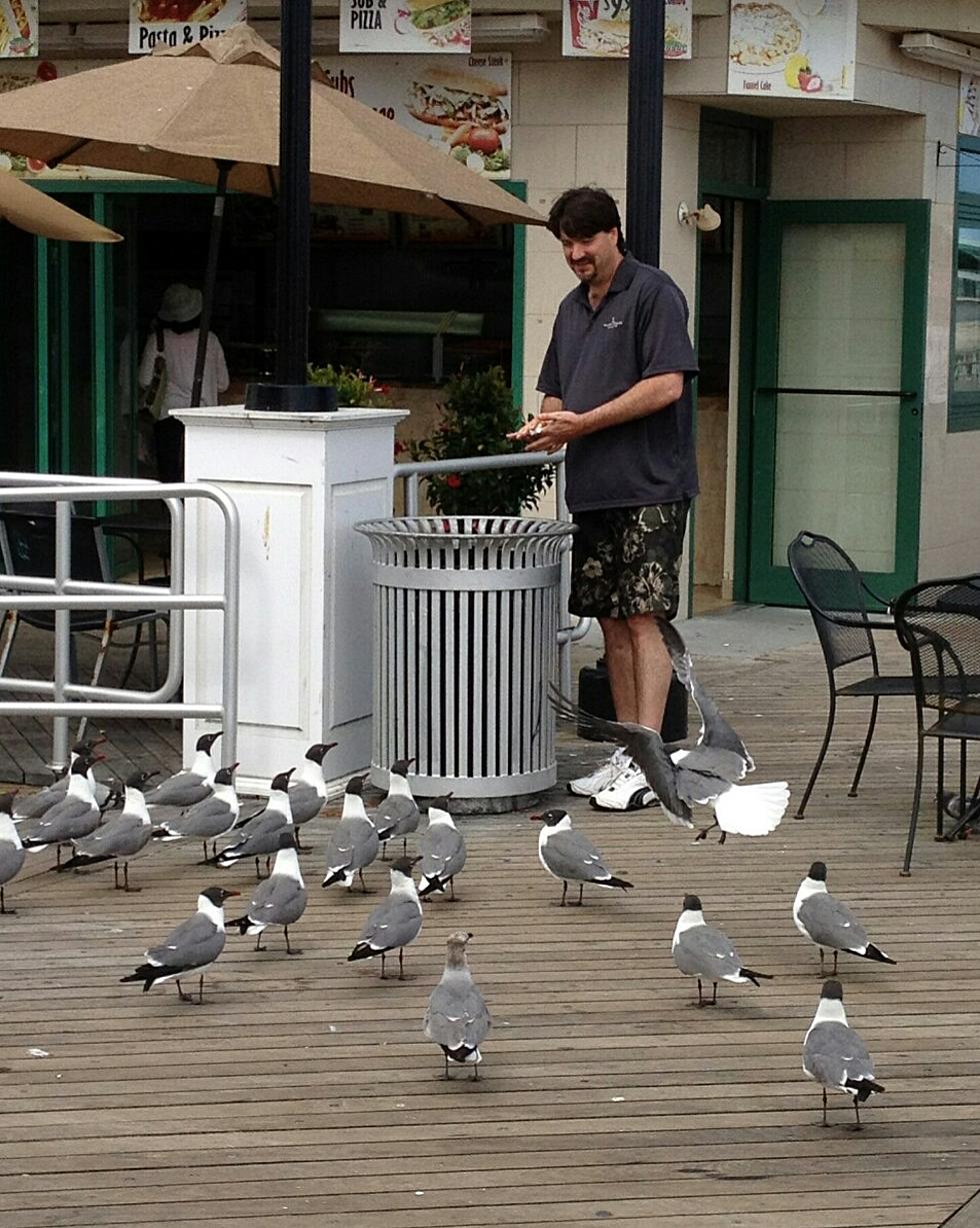 Jake’s History With Dump Gulls – They Won’t Leave Him Alone