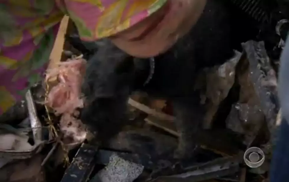Amazing Story! Woman Finds Lost Dog In The Ruble After The Tornado – During A TV Interview [VIDEO]