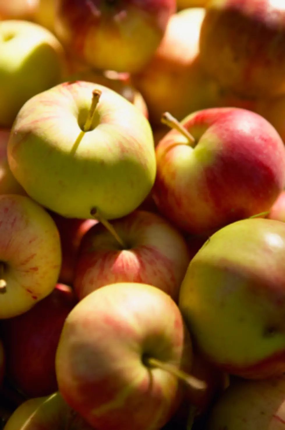 The Best Apples in New York