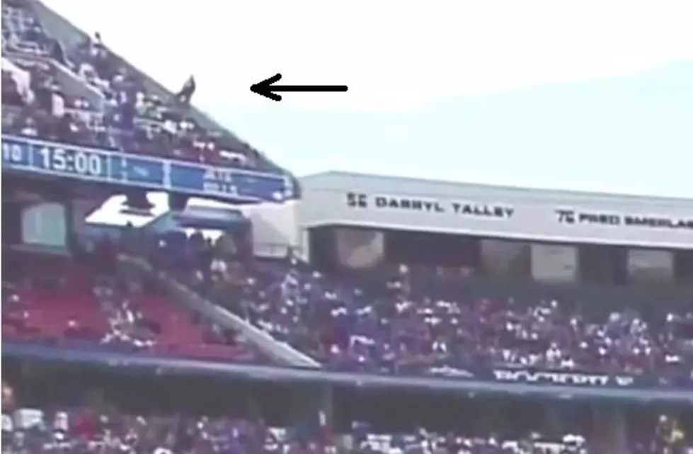 Man Falls From Upper Level at Buffalo Bills Game [VIDEO]