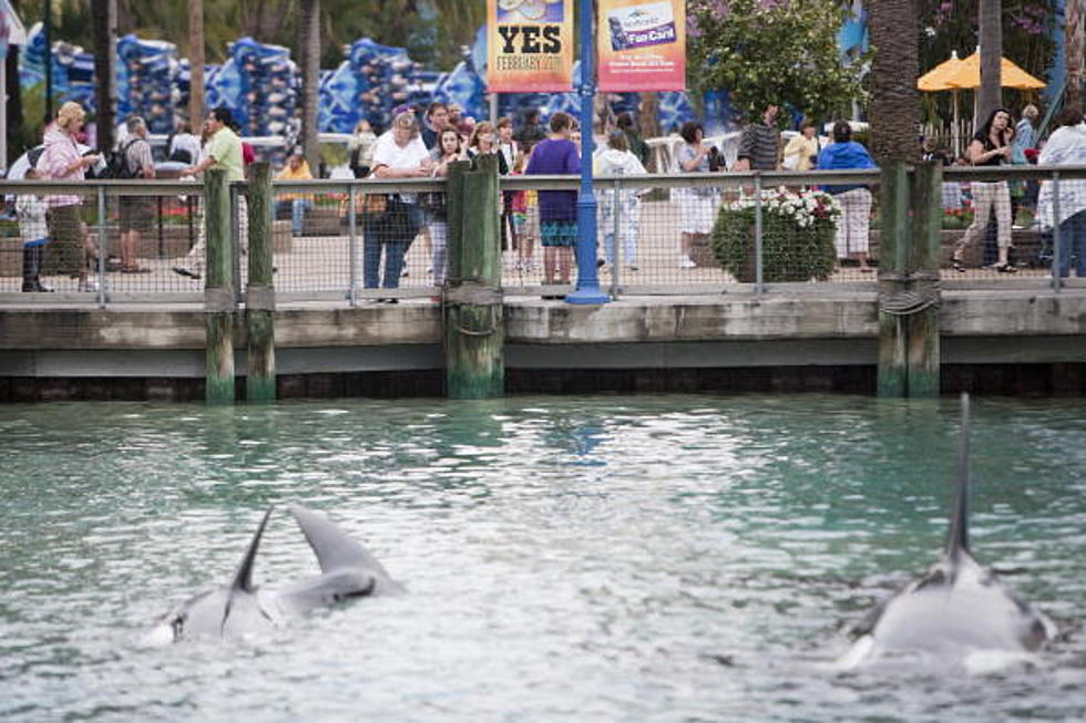 Country Stars Cancel SeaWorld Shows Due To Documentary
