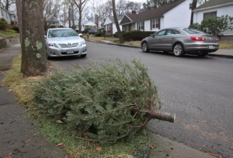 Clifton Park Xmas Tree Pick-Up Info