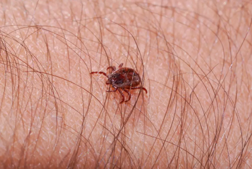 Saratoga County Tick Sweep