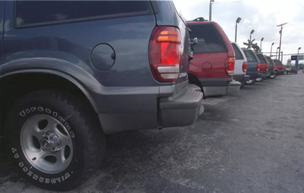 Puppy Left In Sweltering Car While Owner Eats Brunch