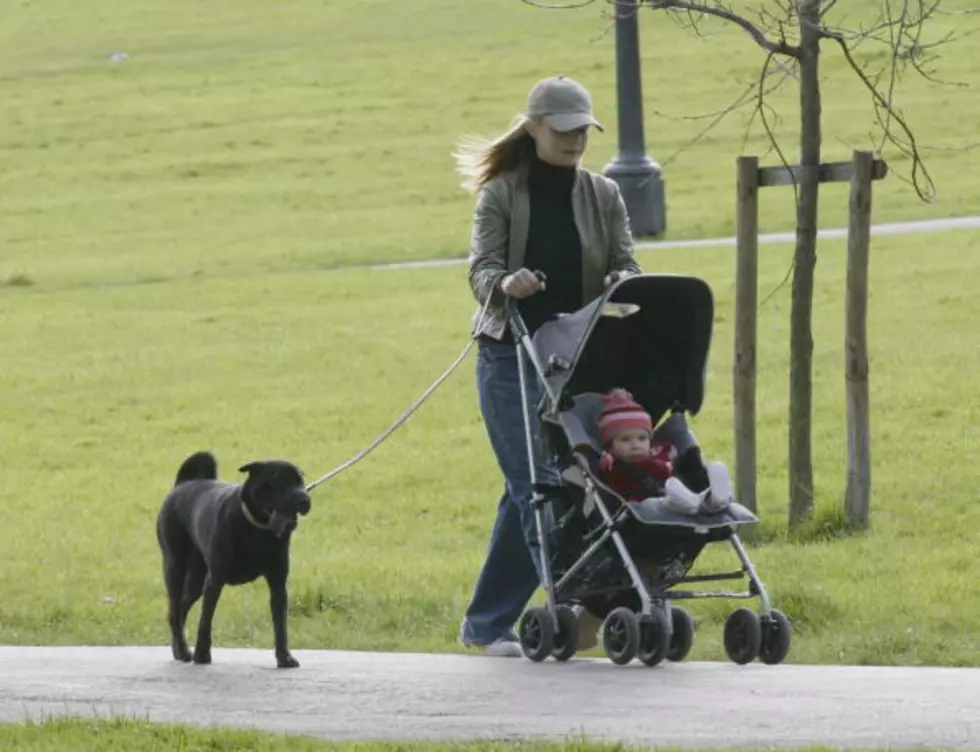 Can People Love Their Dogs As Much As They Love Their Babies? The Answer is, YES!