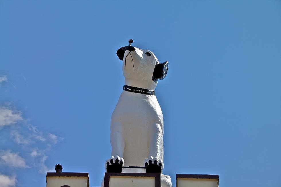 Famous Landmark Albany Building With a Big Dog For Sale
