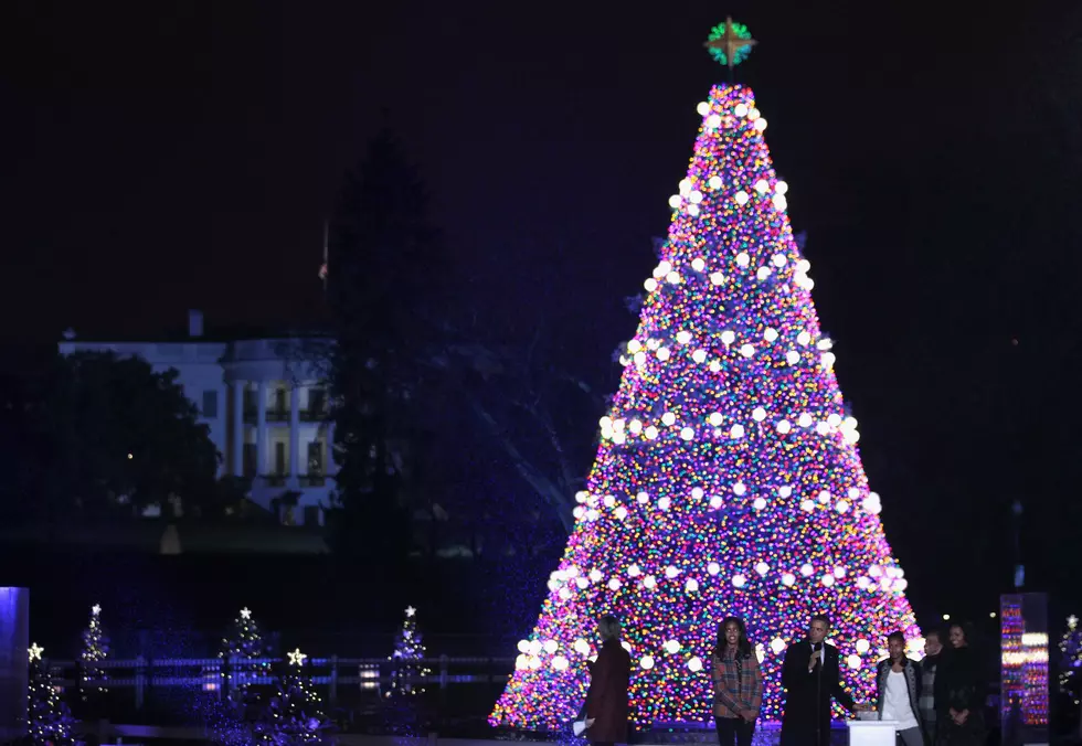 Country Artists Auction Decorated Christmas Trees For Charity [PICTURES]