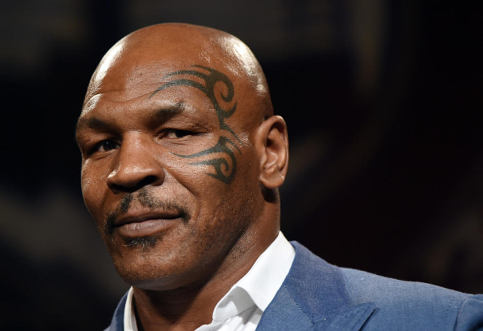 Warning Never Put Arm Around Tyson&#8217;s Neck Without Asking [VIDEO]