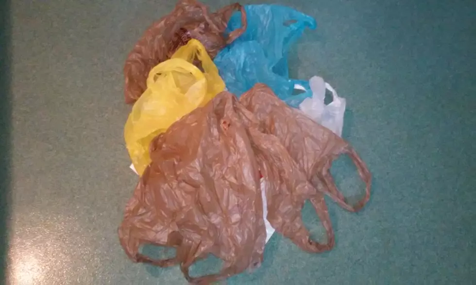 Plastic Bag Fines For Retailers Delayed