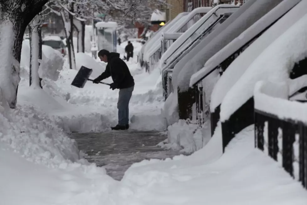 Capital Region Snowfall Totals