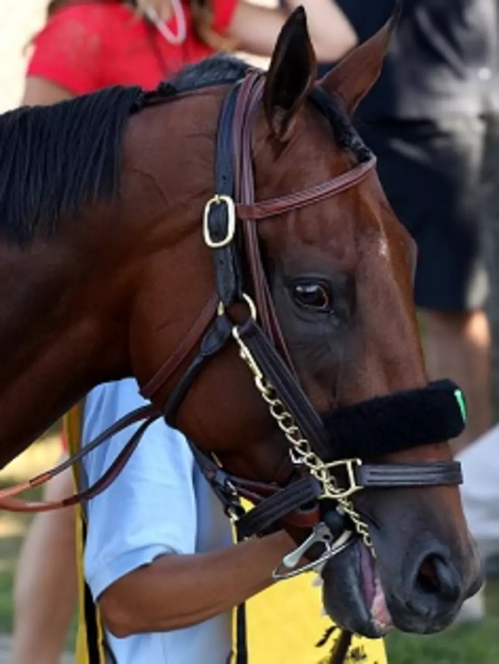 Will Saratoga Racetrack Be The &#8220;Graveyard Of Champions&#8221; For American Pharoah?