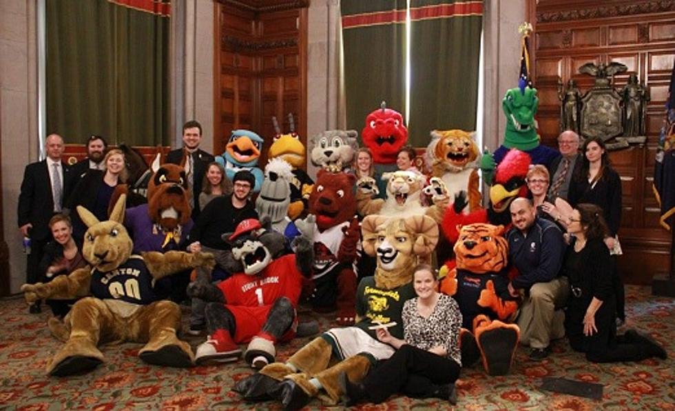 SUNY Mascot Madness Bracket Starts: Vote Capital Region Colleges!