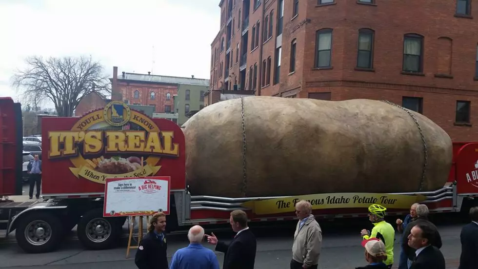 Giant Potato Seen Roaming the Streets of Saratoga