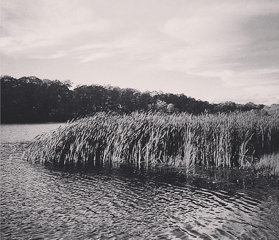 The Hidden Life of CNY’s Delta Lake