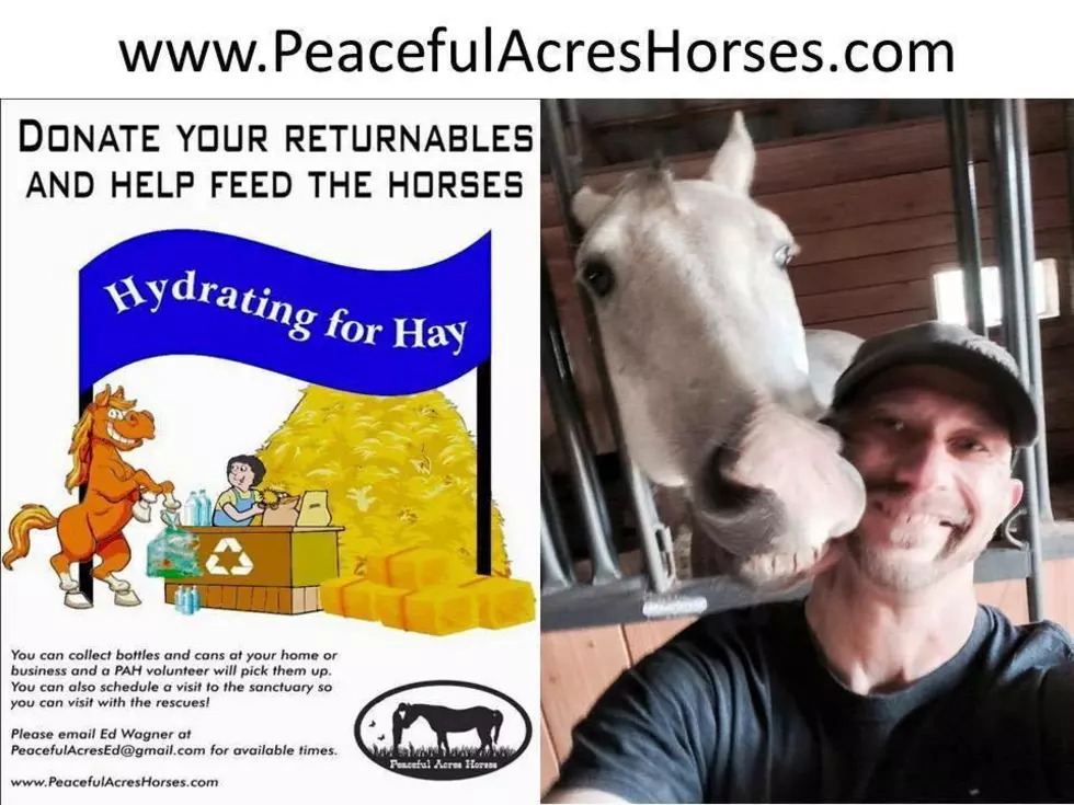 Your Cans And Bottles Could Help Feed Rescued Horses – Learn About Hydrate For Hay