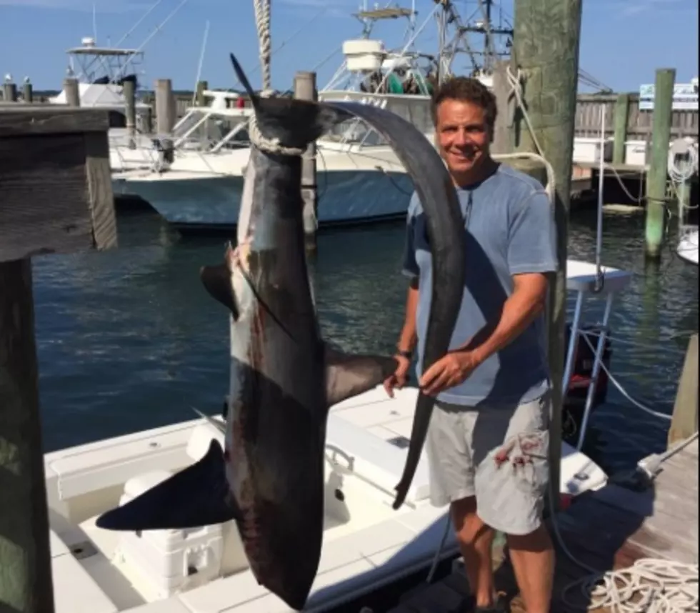 Should the Governor Have Caught the Shark or Thrown It Back? [POLL]