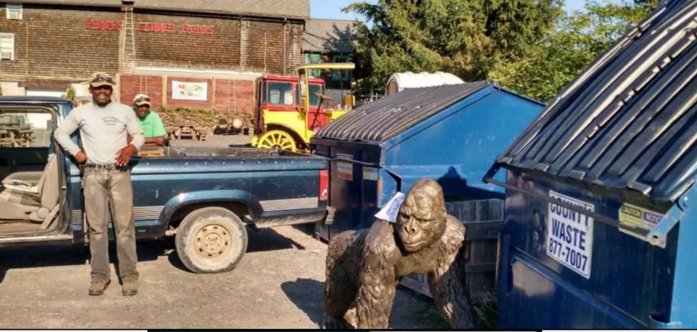 $10,000 Gorilla Statue Stolen in Slingerlands Found