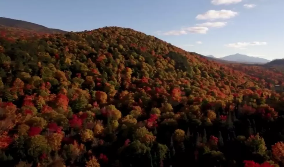Snow Got Ya Down? See Drone Footage of Adirondack Foliage [VIDEO]