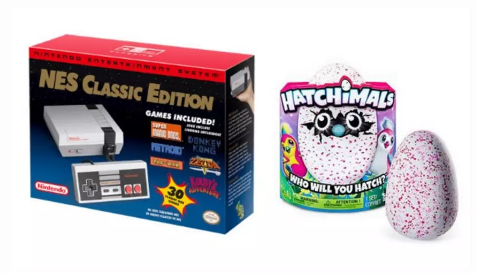 How To Find A Hatchimal Or Nes In The Capital Region