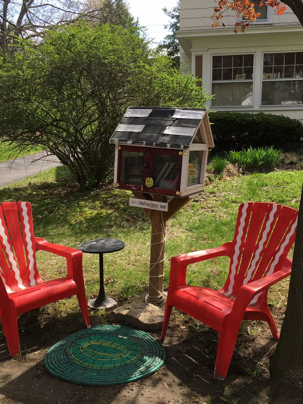 Little Free Library: Take a Book, Return a Book [PHOTO]