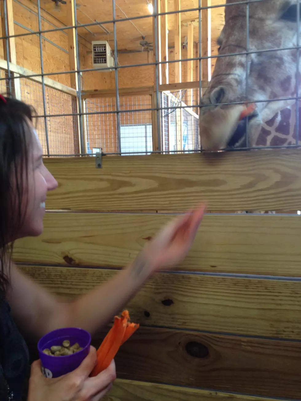 I Met April the Giraffe and It Was Everything! [VIDEO]