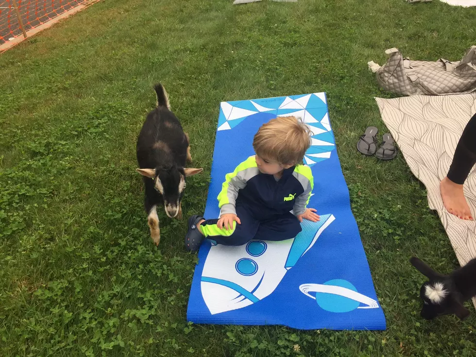 My 2-Year-Old Tried Goat Yoga