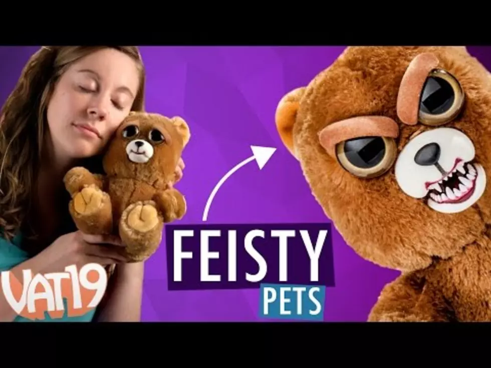 Toddlers Scared Reaction To “Feisty Pet” Toy Goes Viral (WATCH)