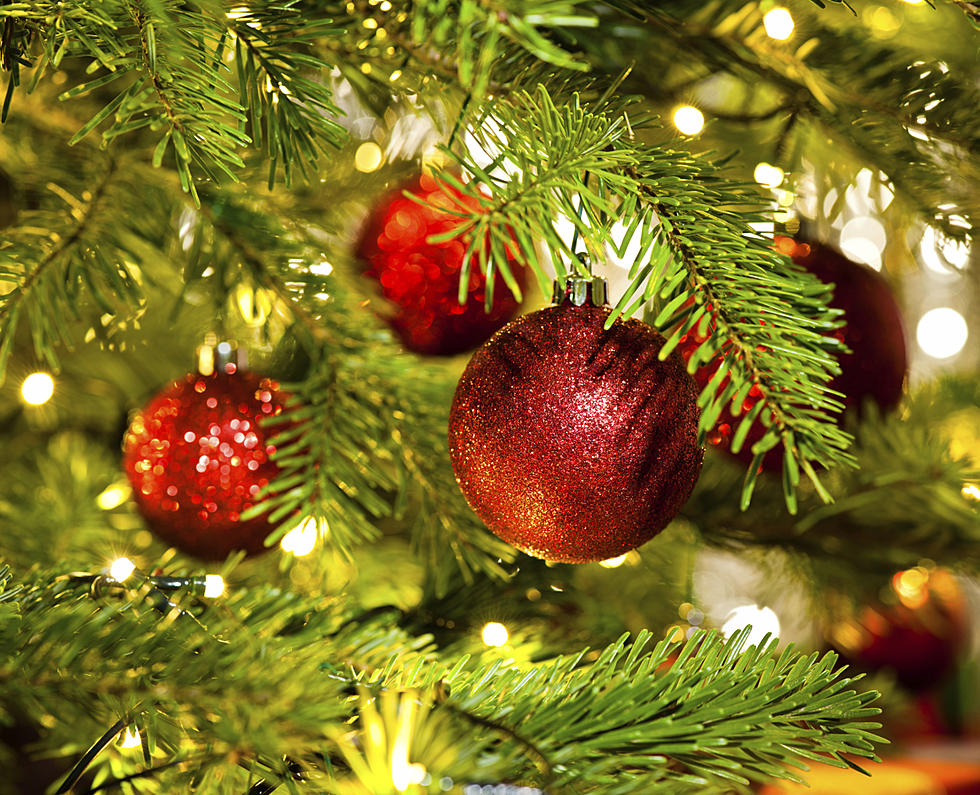 A Grocer Is Really Selling ‘Christmas Tree Flavored’ Potato Chips