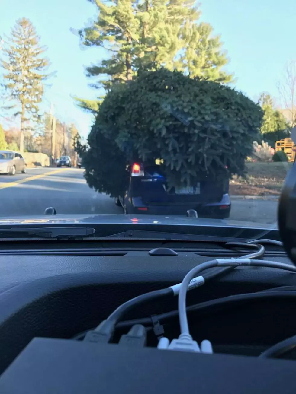 Massachusetts Driver Thought THIS Was OK (PIC)