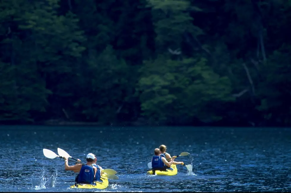 Free ‘Outdoors Day’ Coming to Albany Area Parks June 8