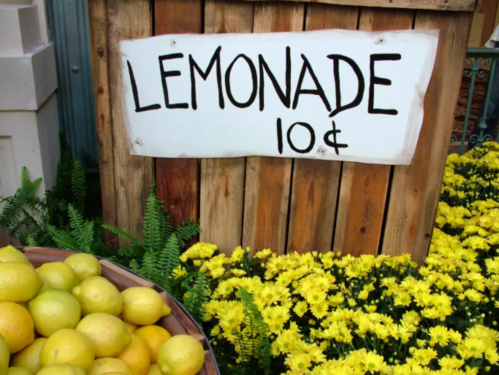 Ballston Spa Lemonade Stand Back In Business