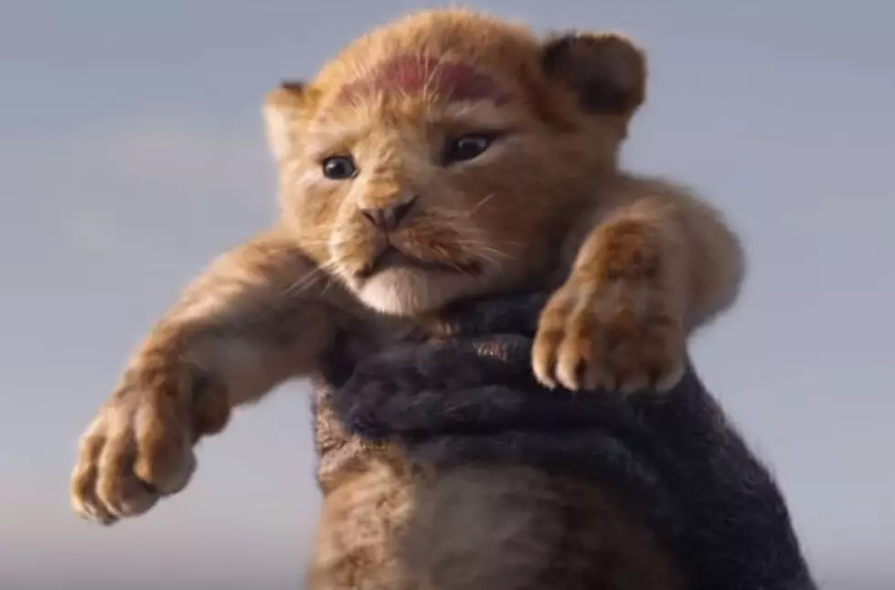 Disney Sucked Me In With The Lion King Trailer