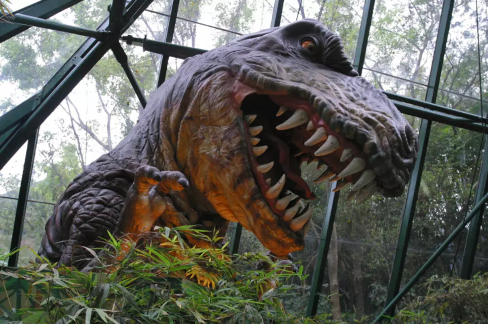 A dinosaur theme park for families