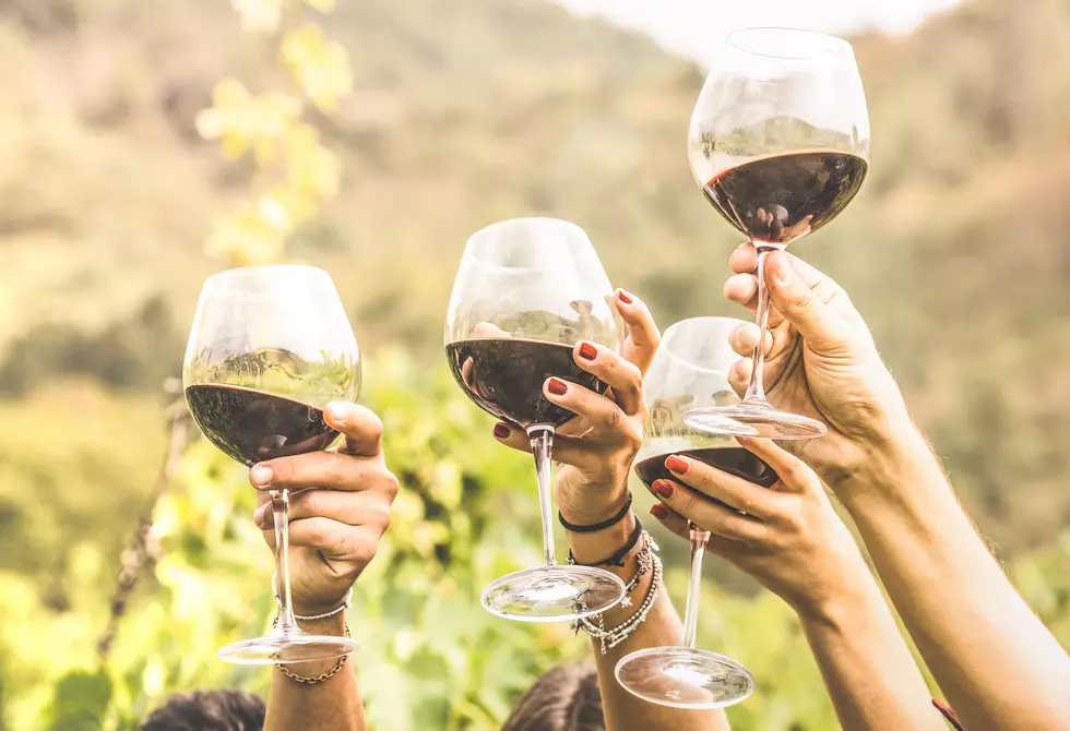 Cheers! 2 NY Wineries Win For Best Tastings & Tours in Country