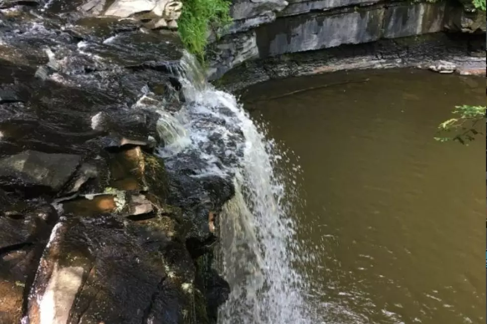 Chrisman Sanctuary Vandalized, Closed Until Further Notice