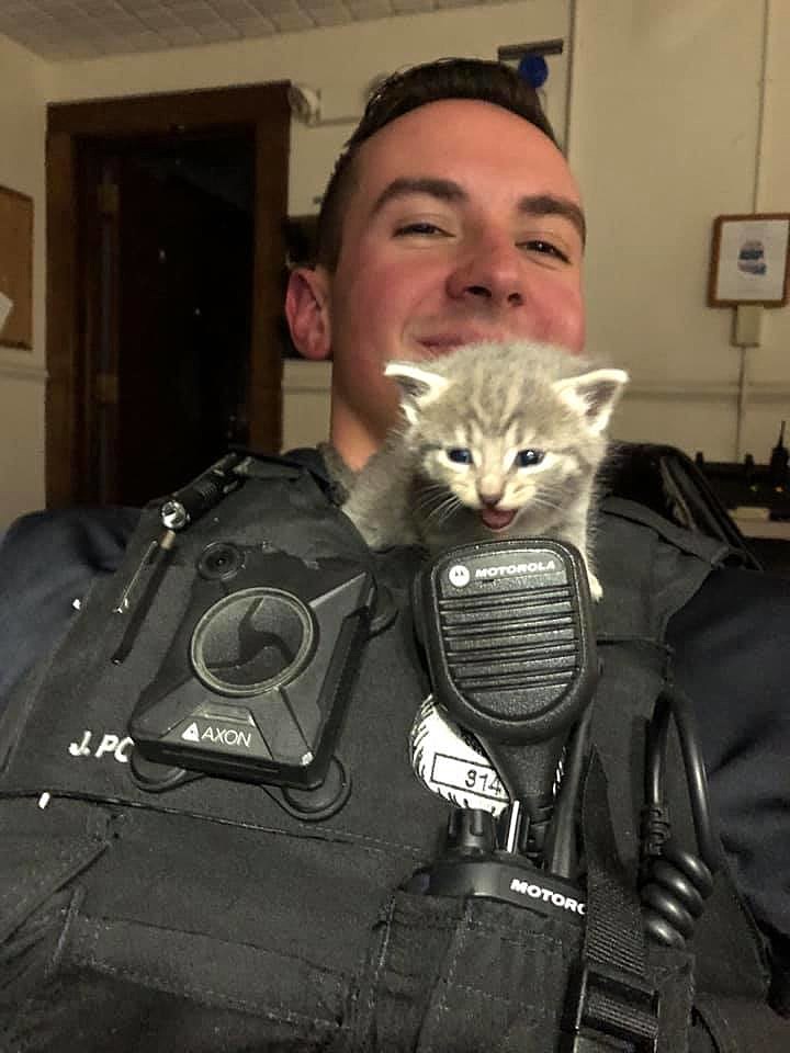 P1 Photo of the Week: Feline officer