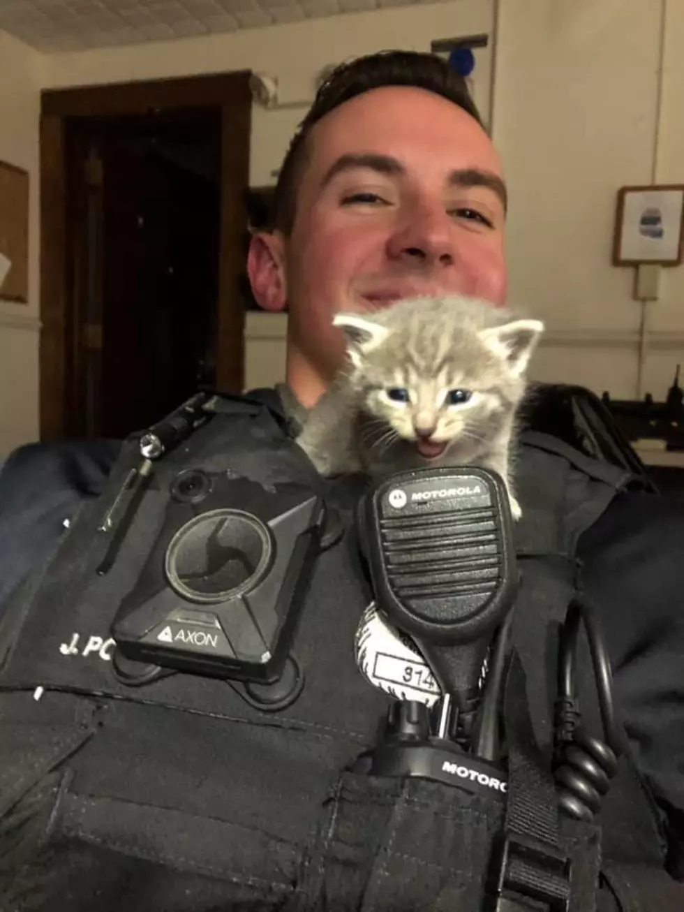 Cat Badge Fever: Cute Photo Of Albany Cop w Kittens Goes Viral