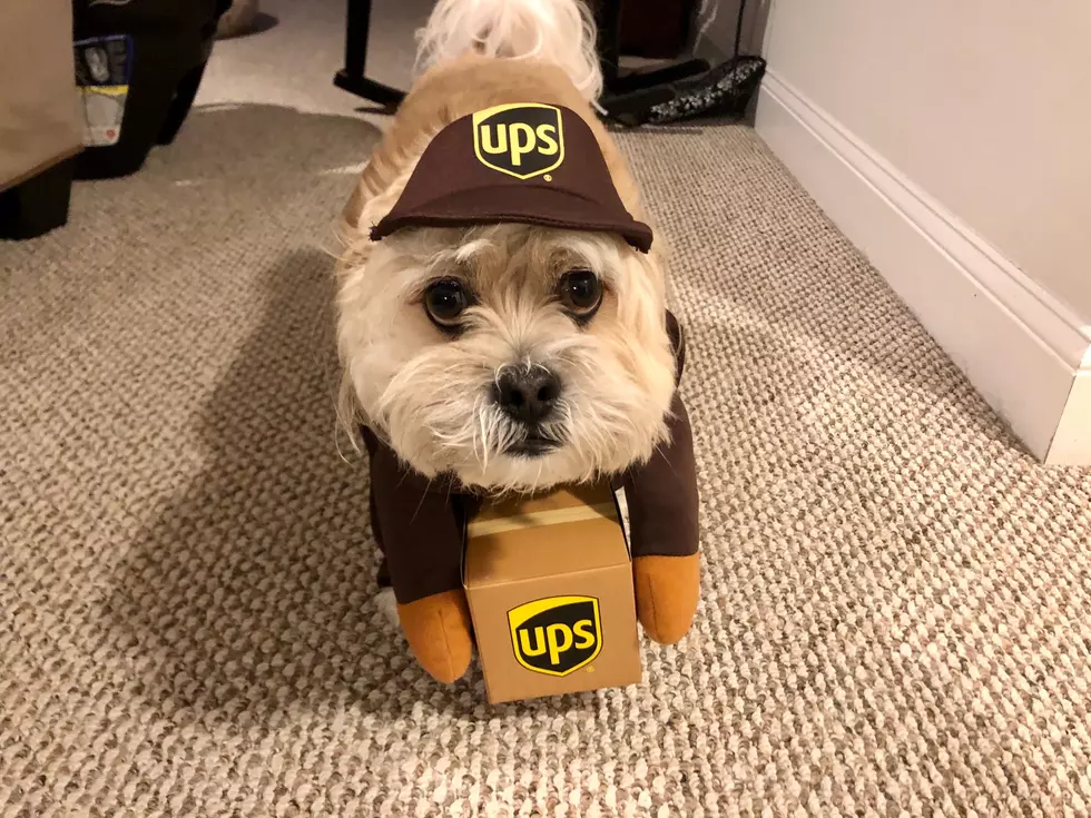 Help! Work at UPS So My Fiancee Gets All Her Amazon Orders