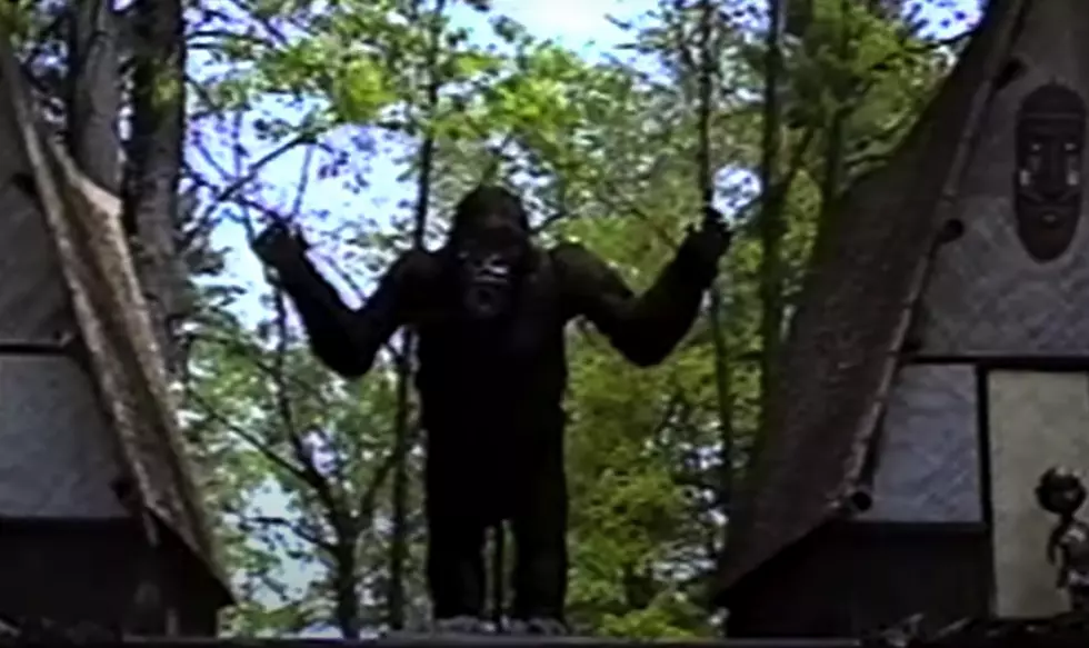 Upstate Urban Legends: Are Endangered Animals Living Inside Jungleland?