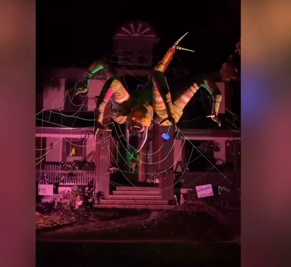 Man in NY Makes Amazing Mechanical Spider [VIDEO]