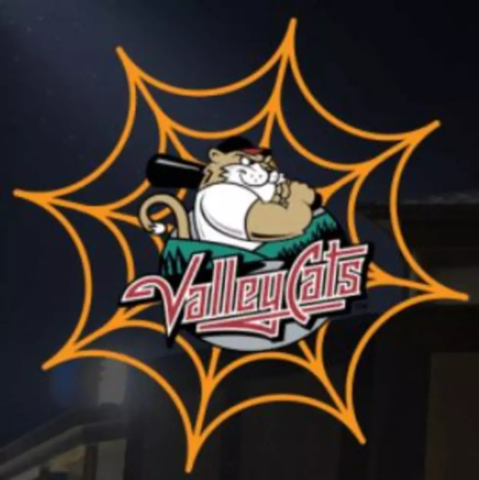 Free Fall Fest With The Tri-City ValleyCats