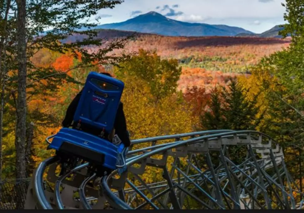 Fun With Fall Views &#8211; Ride the Cliffside Coaster