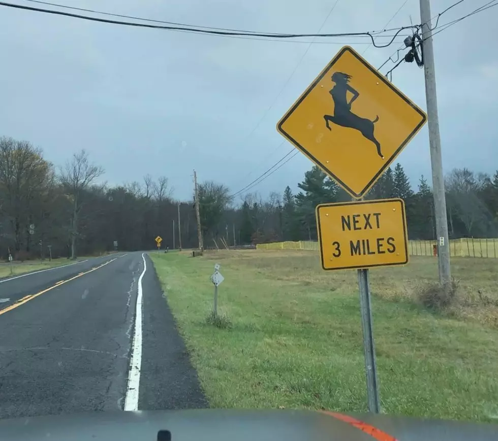 Only in Coxsackie: Mythological Beast Crossing Next 3 Miles