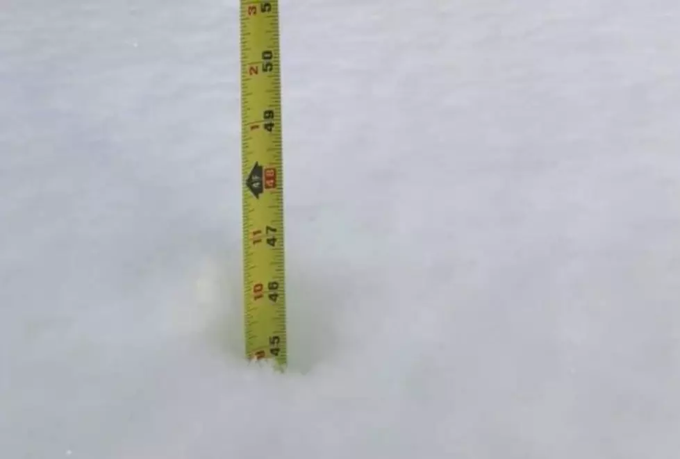 Capital Region&#8217;s HUGE Snowfall Totals [PICS]