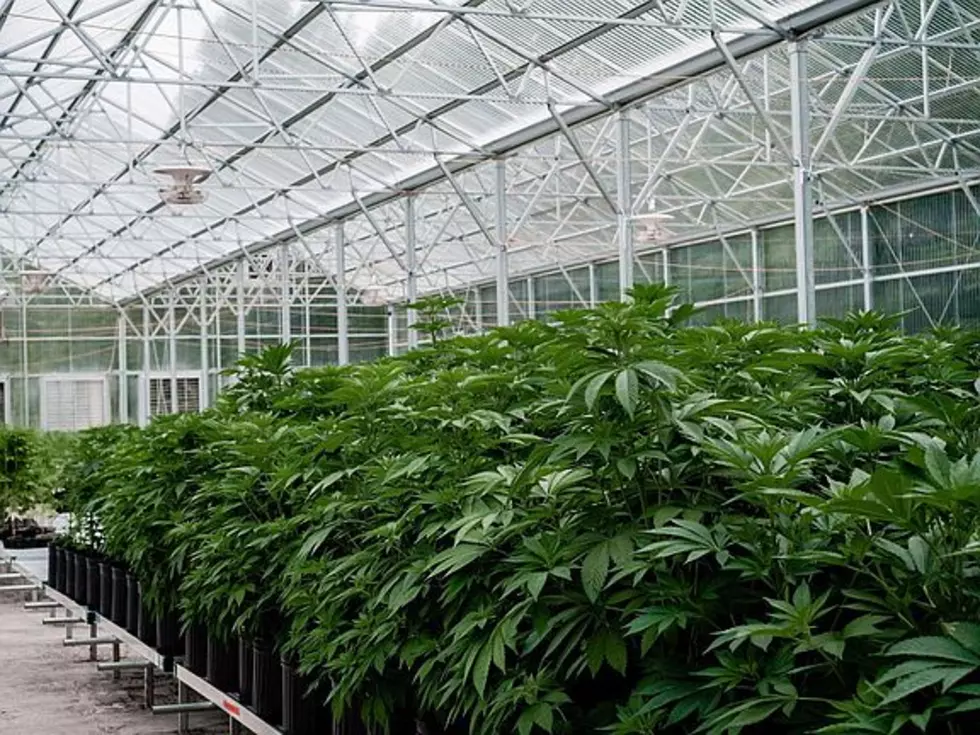 Take a Look at This Budding Property-Hemp Farm Sold in Rensselaer County