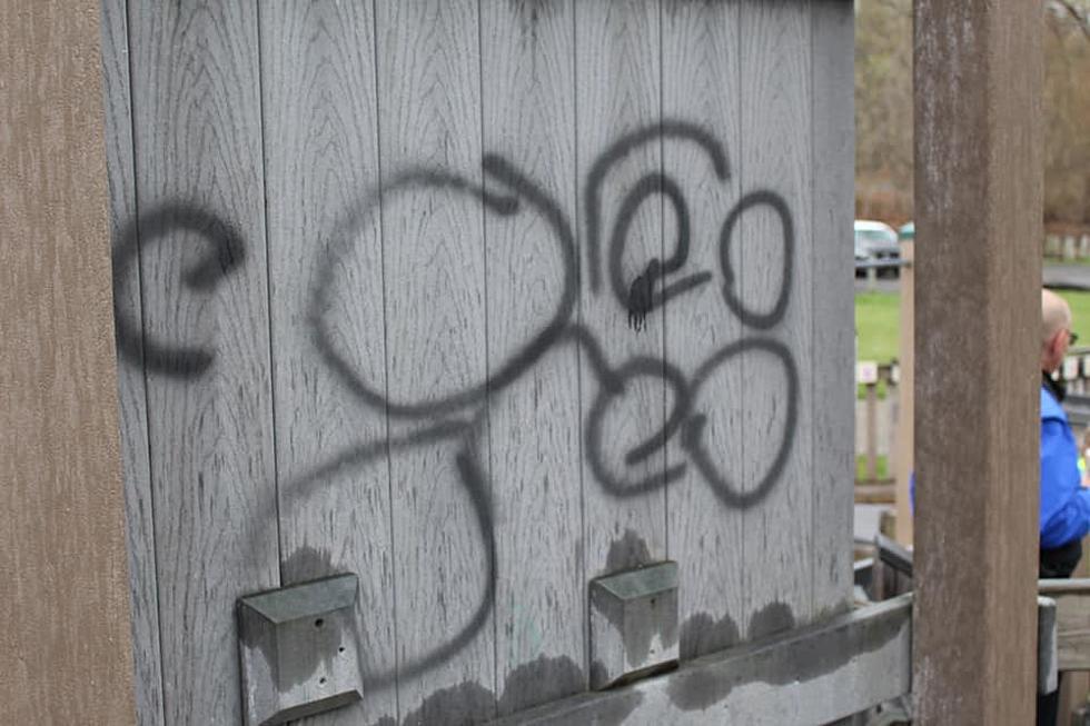 Vandals Destroy Saratoga County Playground