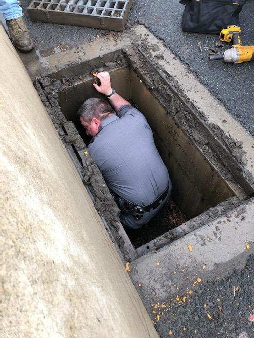 NYS Troopers Rescue Ducklings Trapped in Drain